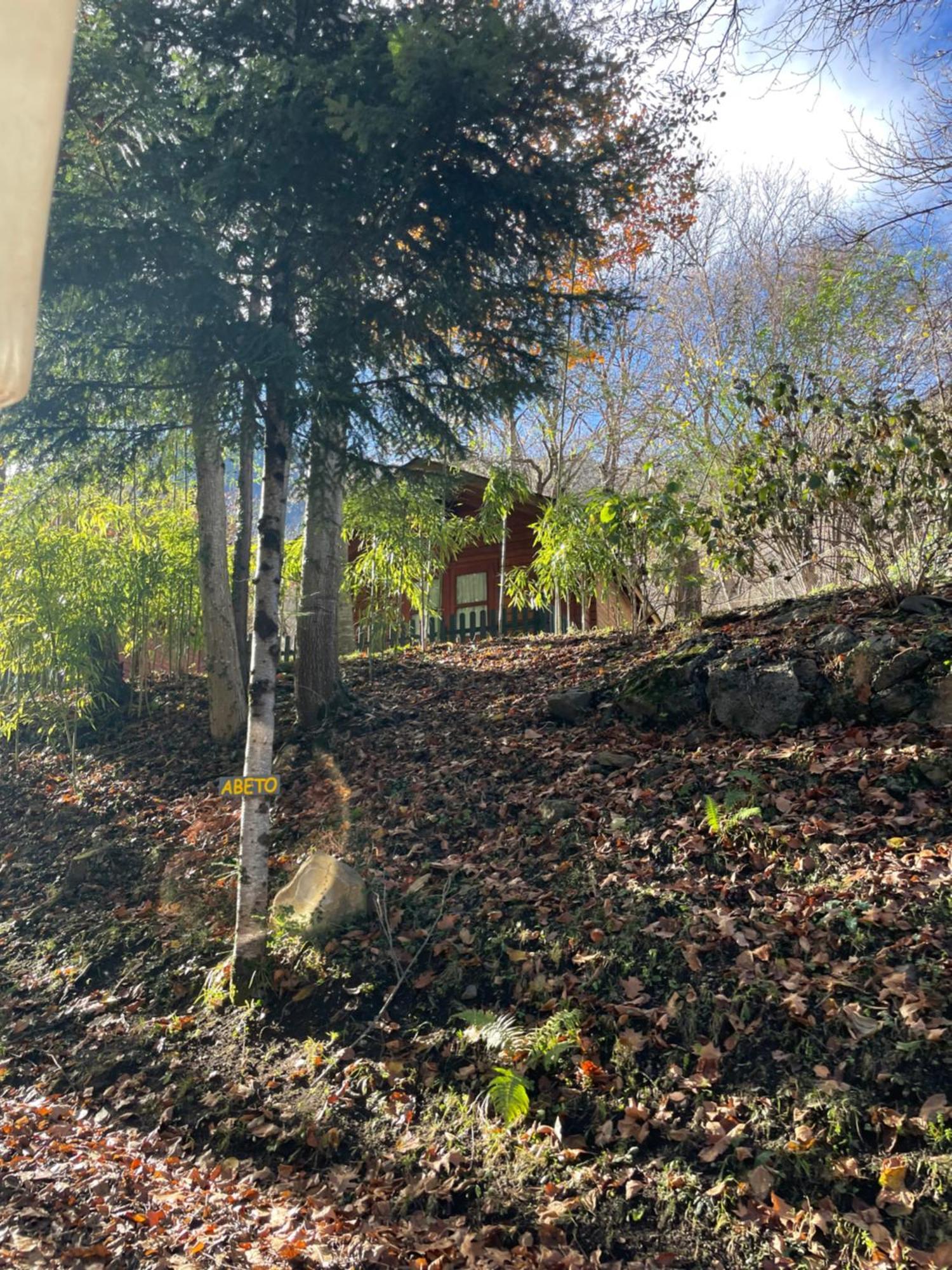 Bedura Park Campsite *